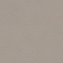 R 24251